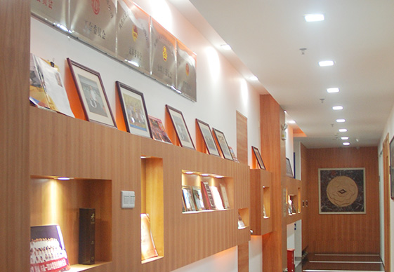 做為國產工業內窺鏡設備老品牌廠家，深圳亞泰光電深耕工業內窺鏡、工業管道內窺鏡、工業視頻內窺鏡等20余載，自主研發生產內窺鏡產品具有多項發明專利，內窺鏡廠家直銷，價格優惠。